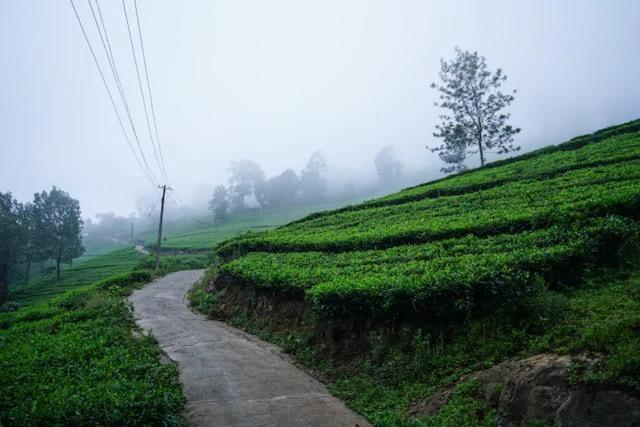 Lime Light Resort Munnar Extérieur photo